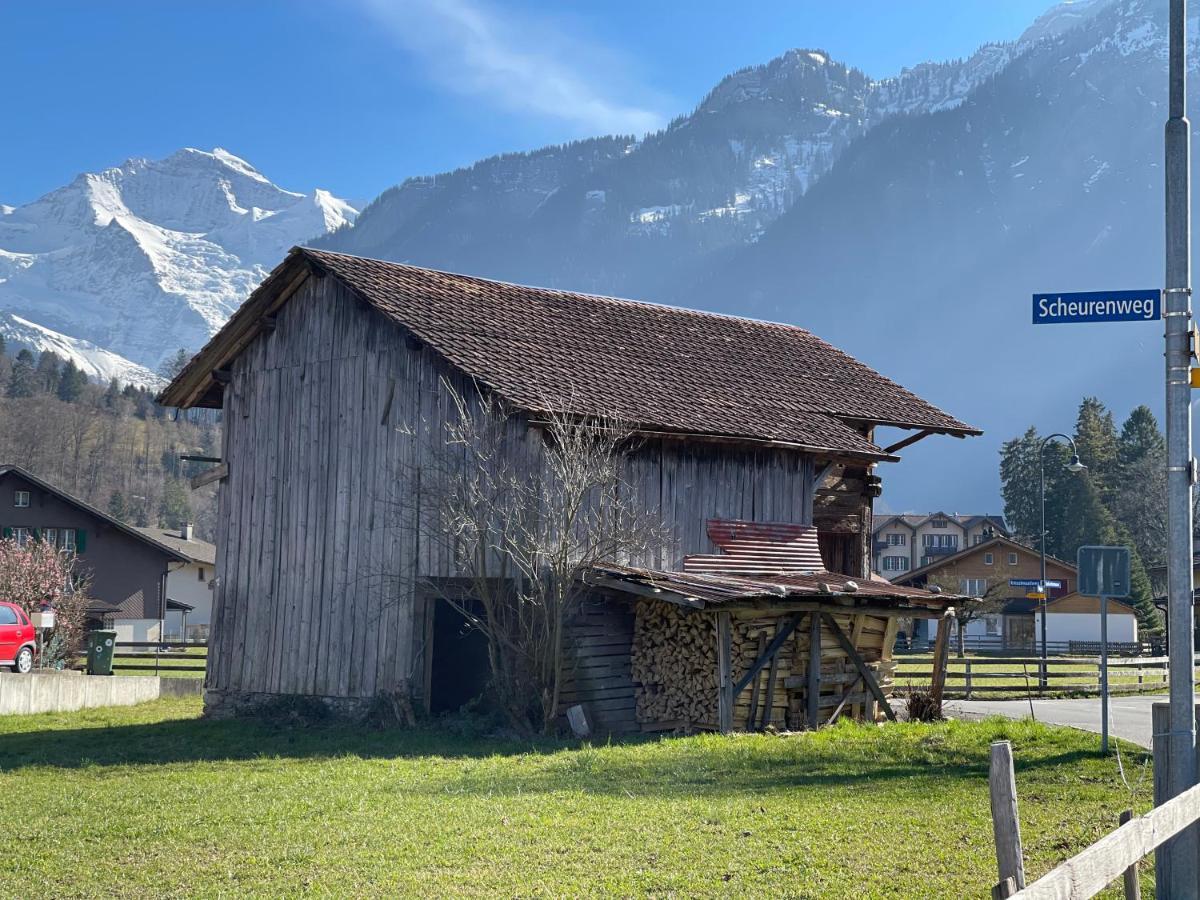 S&P Mountain View Apartment 2 Wilderswil Exterior foto
